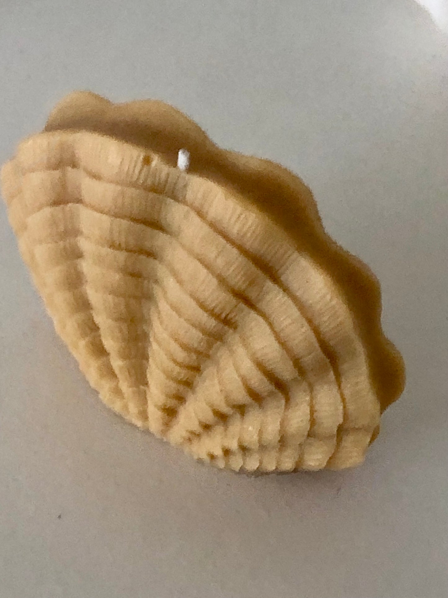 CANDELE TRIS “CONCHIGLIE” 12cm