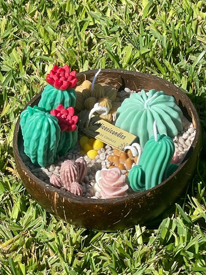 CANDELA artigianale bowl  CACTUS GARDEN