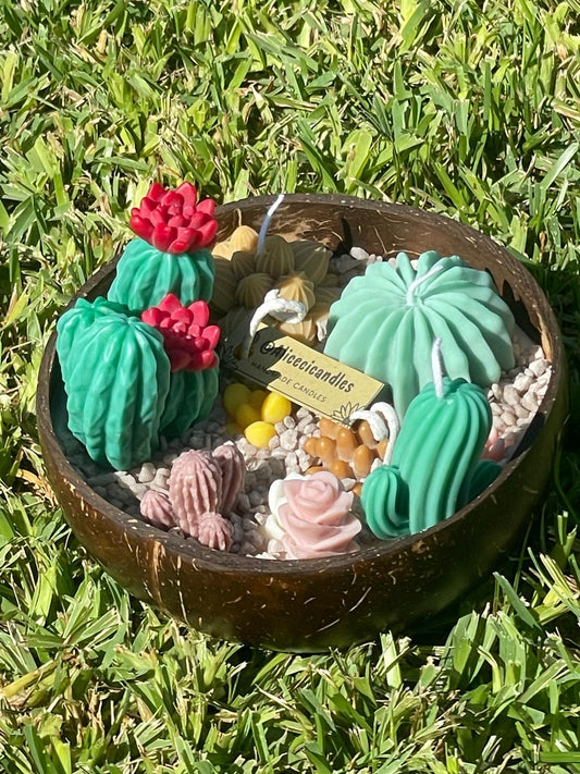 CANDELA artigianale bowl  CACTUS GARDEN