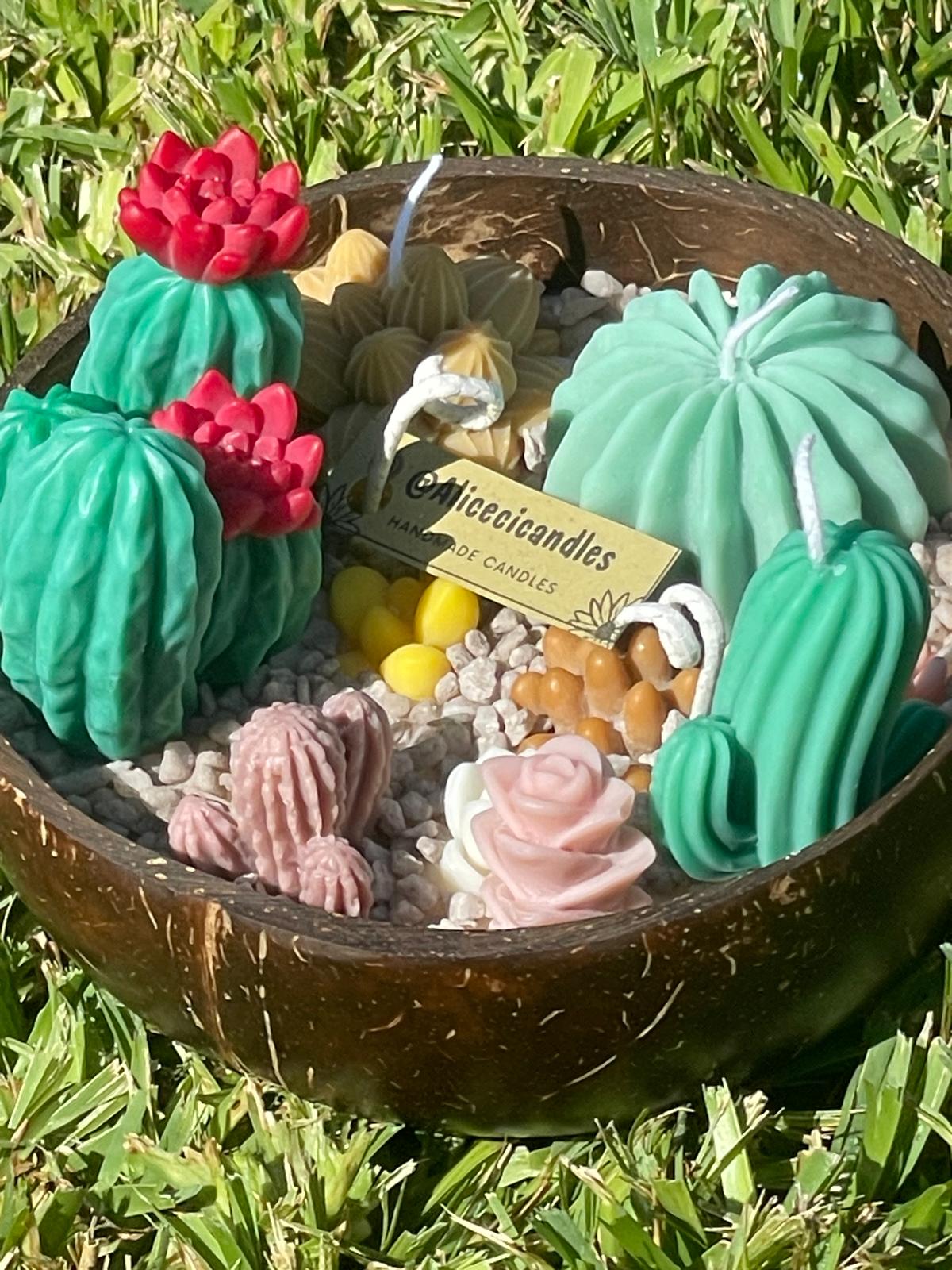 CANDELA artigianale bowl  CACTUS GARDEN