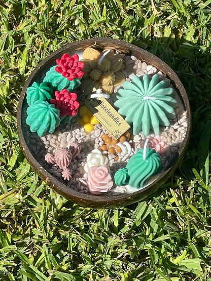 CANDELA artigianale bowl  CACTUS GARDEN