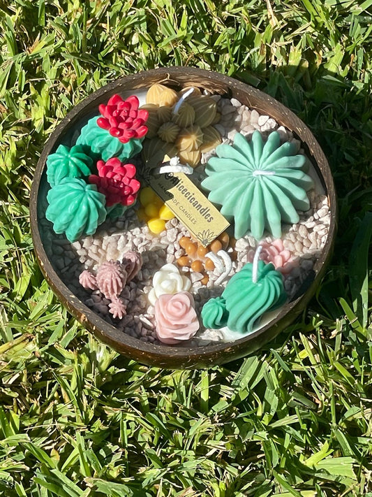 CANDELA artigianale bowl  CACTUS GARDEN