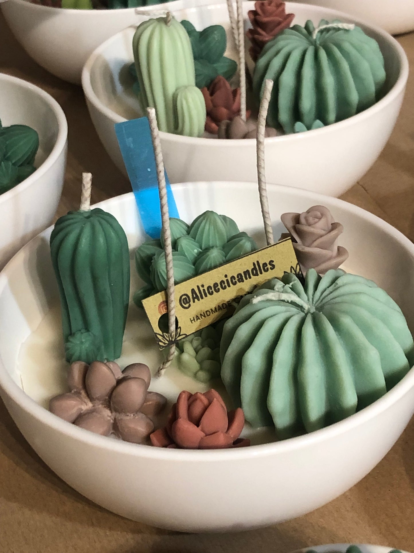 CANDELA “CACTUS GARDEN” media