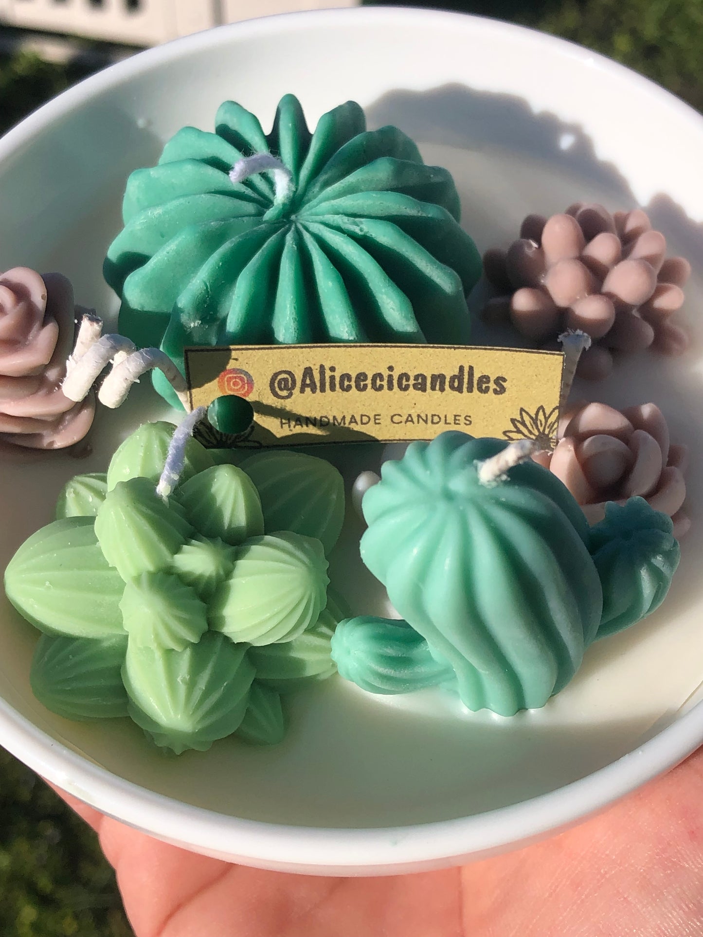 CANDELA “CACTUS GARDEN” media