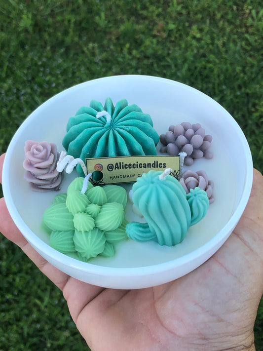 CANDELA “CACTUS GARDEN” media