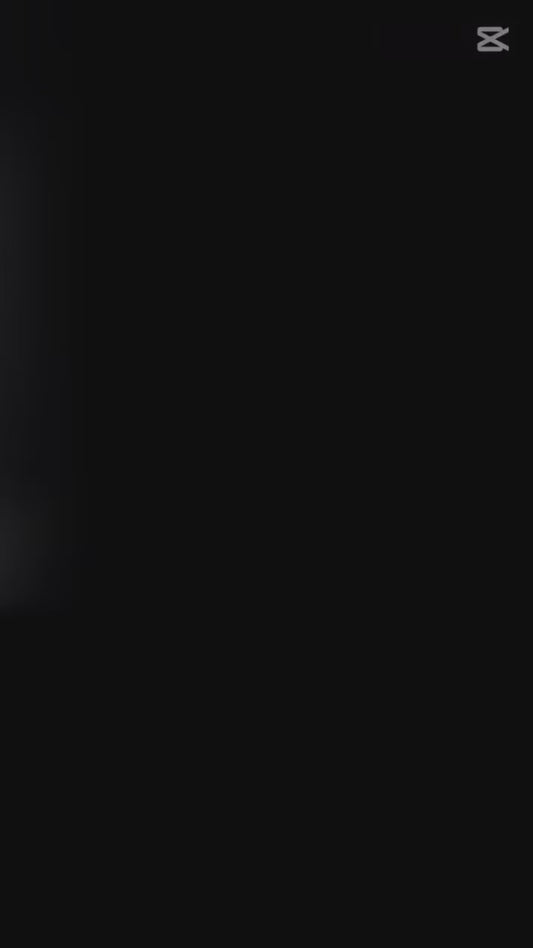 Coppia saponi “KARITE’